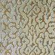 Tissu Velours Monte-Cristo