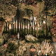 Panoramique Botanico vinyle