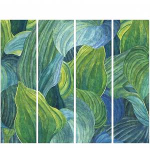 Panoramique Hosta Aqua