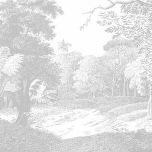 Papier peint Panoramique Ebony Forest