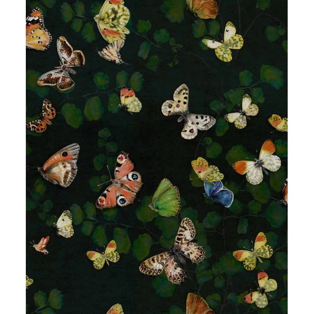 Papier Peint Magic Butterflies Vynil