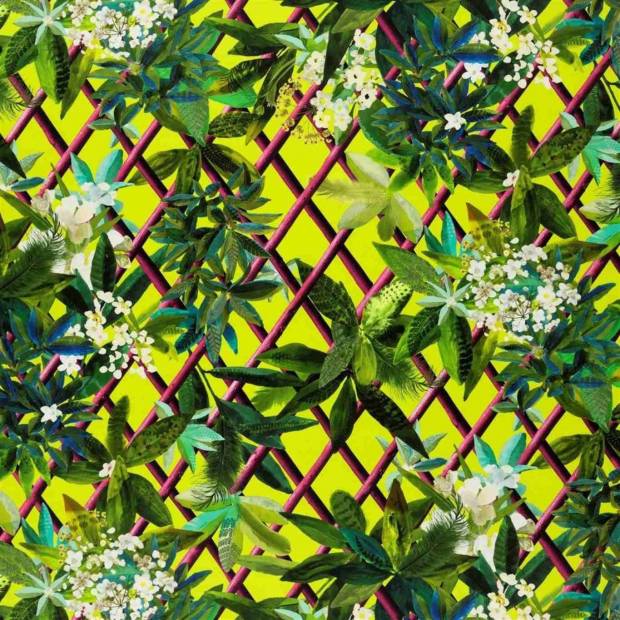 Tissus Canopy