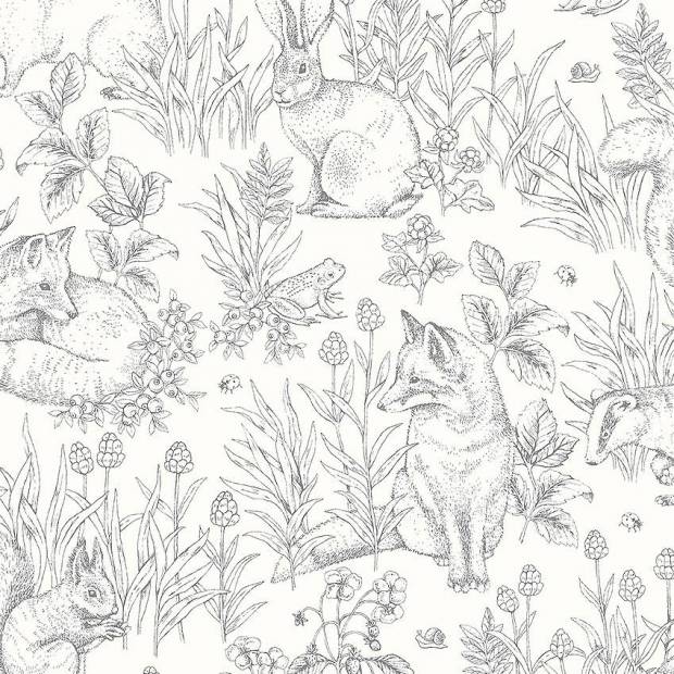 Papier Peint Forest Friend