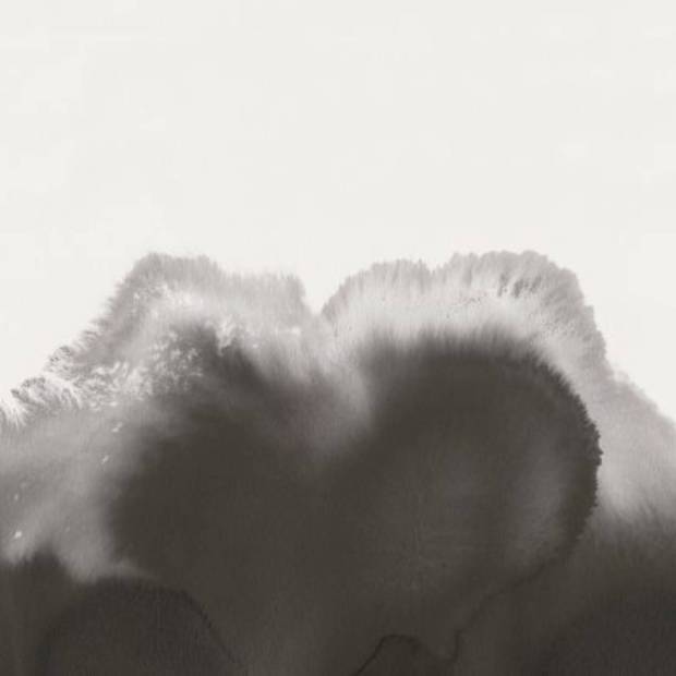 Papier peint Panoramique Coral Reefs Non Tisse