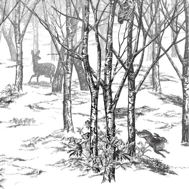 Papier Peint Forêt Enchantée
