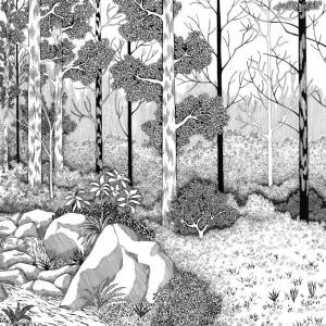Papier peint Panoramique sur mesure La Biche Aux Bois