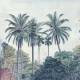 Papier peint Panoramique sur mesure Palm Grove