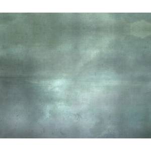 Papier peint Panoramique sur mesure Sea Mists