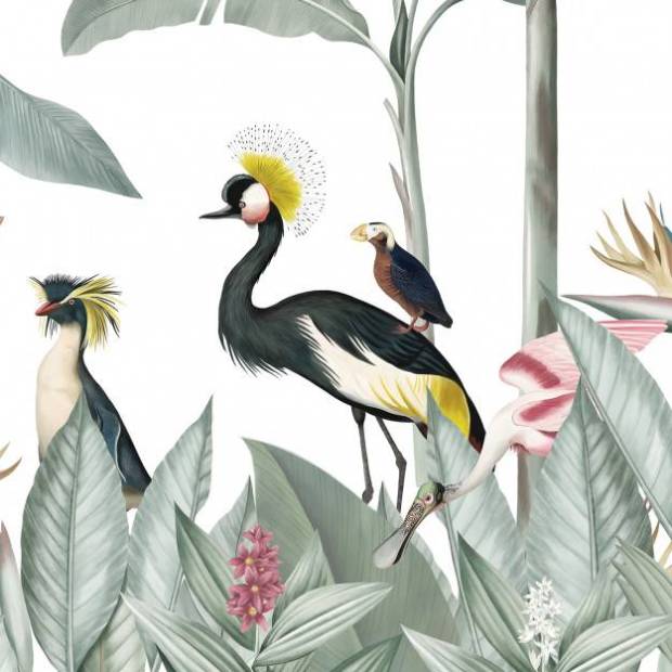 Papier peint Panoramique sur mesure Casela Birds