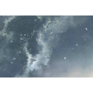 Papier peint Panoramique sur mesure Les amours de Lindou et l'aurore boréale