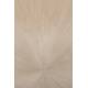 Papier peint Panoramique Sunburst
