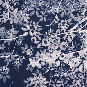 Papier peint Panoramique sur mesure Jardin Nocturne