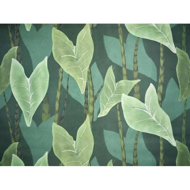 Papier Peint Monstera