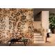 Papier peint Panoramique Leopard