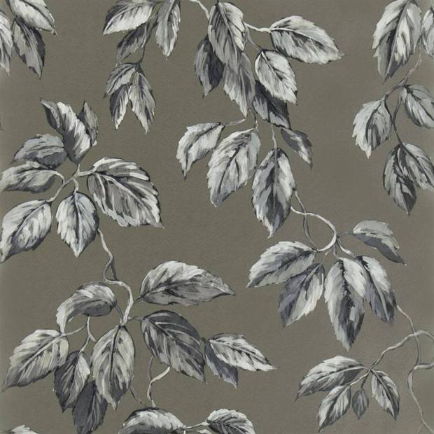 Papier peint Jangal