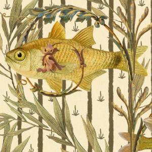 Papier peint Sweetwater Fishes