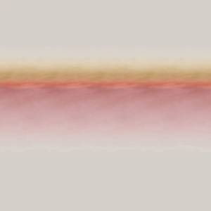 Tissu Blush Delilight
