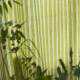 Tissu Albemarle