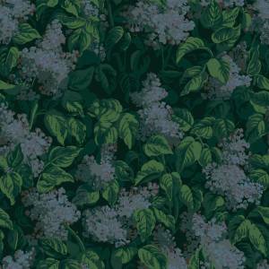 Papier peint Lilas Bleu