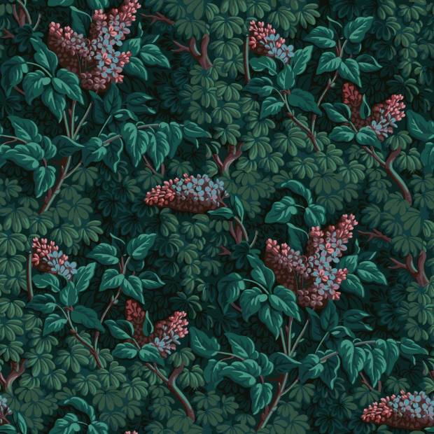 Papier peint Rose Lilas