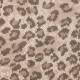 Moquette Salta