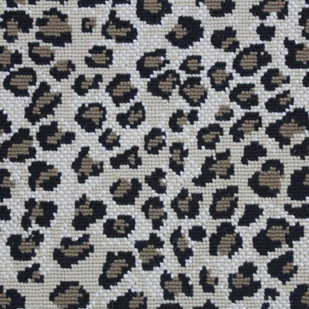 Moquette Salta