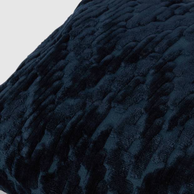 Tissu Fossile