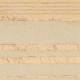 Papier peint Pinene