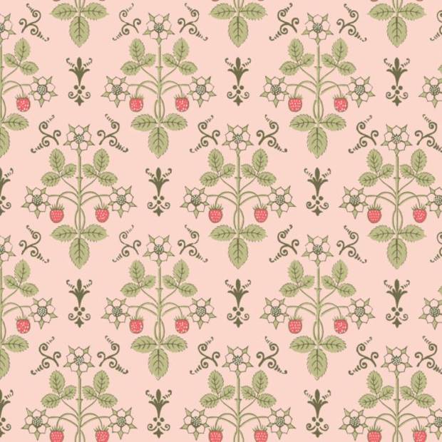 Papier peint Strawberry