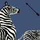 Papier peint Zebras
