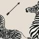 Papier peint Zebras