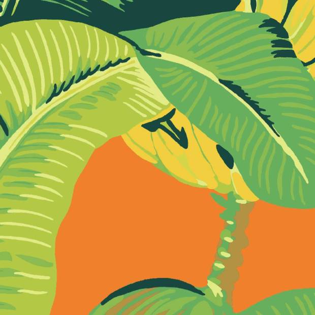 Papier Peint Hinson Palm