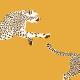 Papier Peint Leaping Cheetah