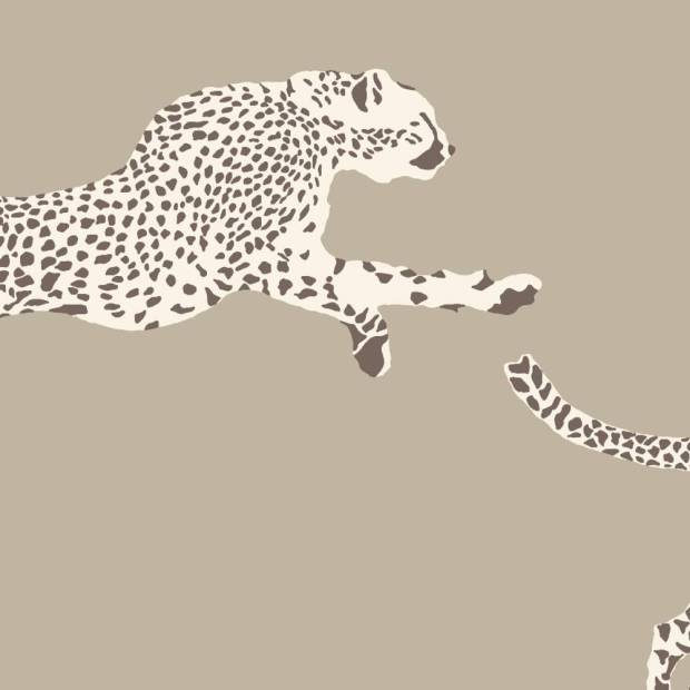 Papier Peint Leaping Cheetah