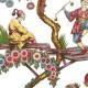 Papier Peint Chinoise Exotique