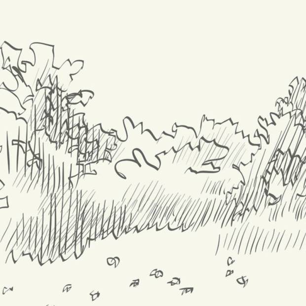 Papier peint Panoramique sur mesure Fleur de Trèfle intissé