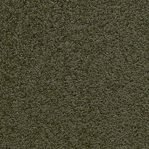Moquette Rimini