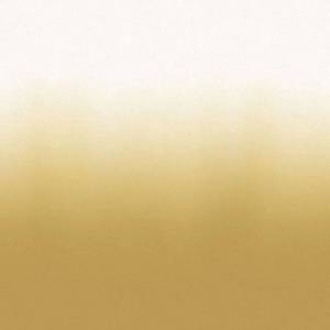 Tissu Ray Deliblack