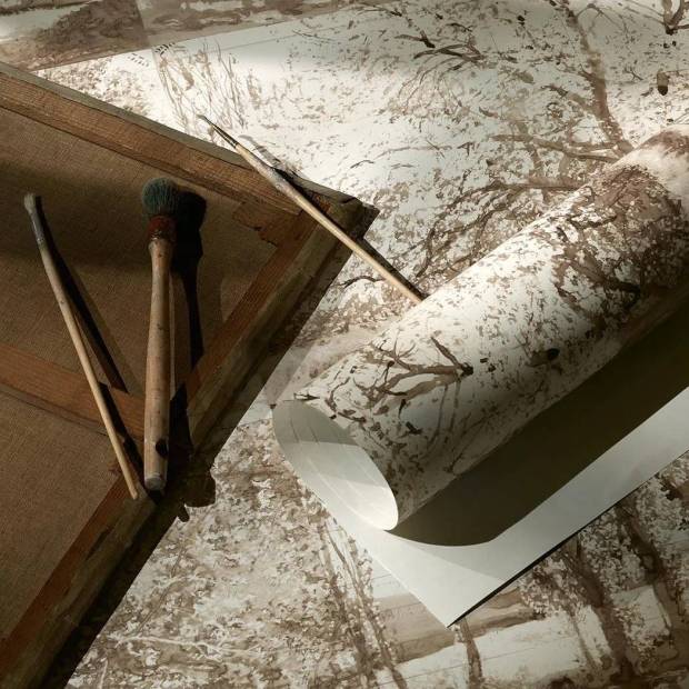 Papier peint Arbres et Sous Bois