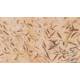Papier peint Panoramique Ballet