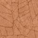 Papier Peint Fragment