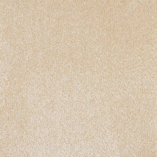 Moquette Monte Gordo