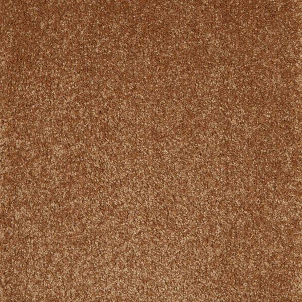 Moquette Monte Gordo