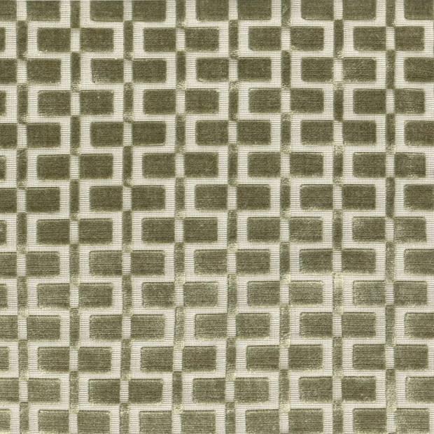 Tissu Analogie