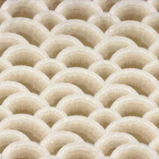 Tissu Arcus