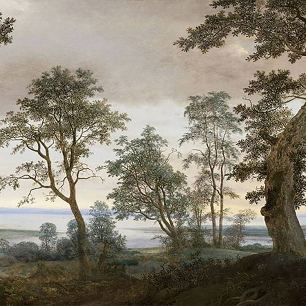 Papier peint Panoramique Vista