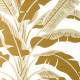 Papier peint Banana tree