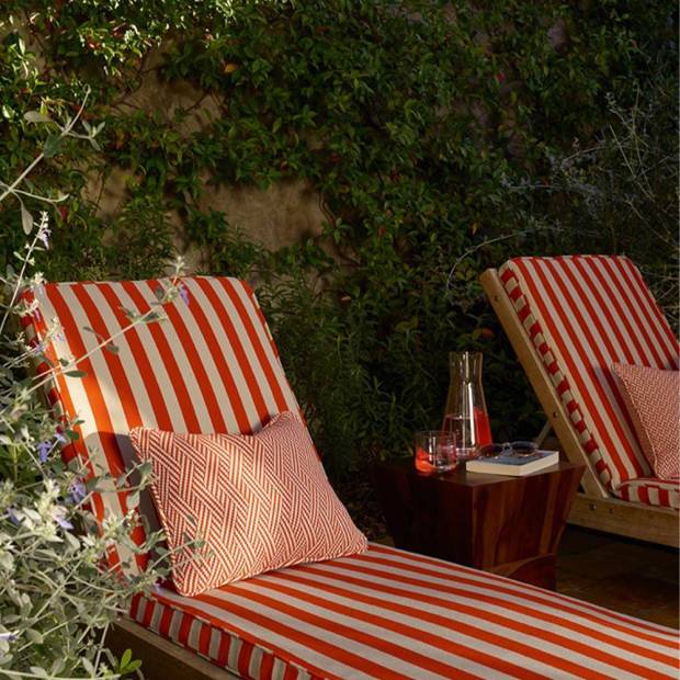 Tissu Roya