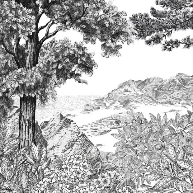 Papier peint Panoramique sur mesure Forêt de Bretagne