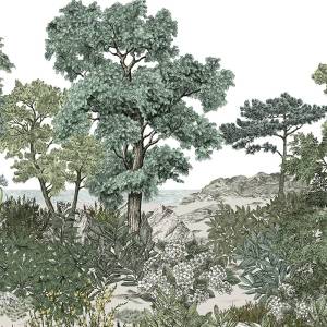 Panoramique Forêt de Bretagne